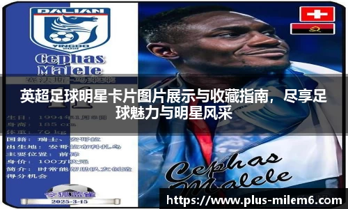 英超足球明星卡片图片展示与收藏指南,尽享足球魅力与明星风采