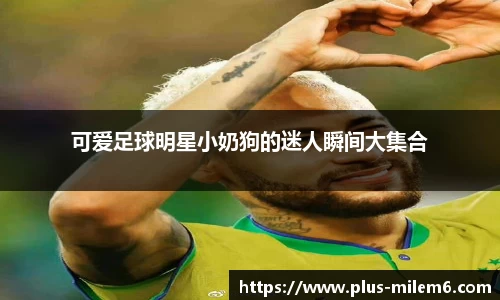 可爱足球明星小奶狗的迷人瞬间大集合